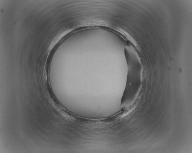 X0000078280885200612011741