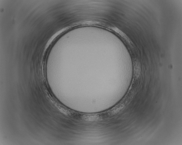 X0000078280886200612011741