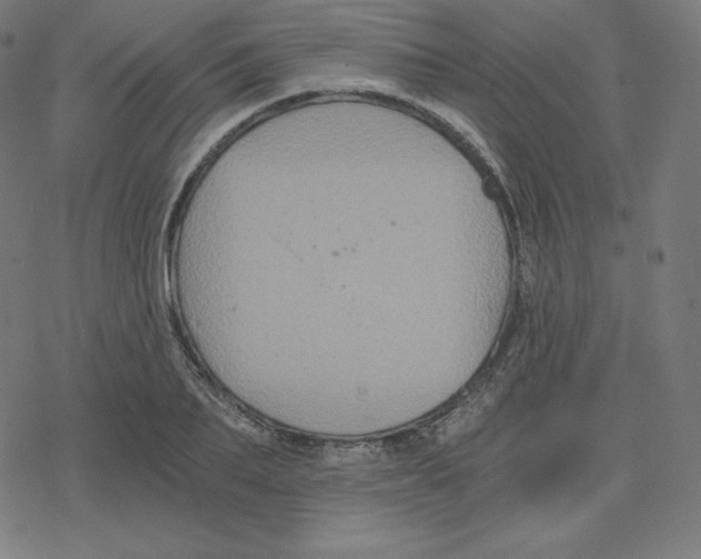 X0000078280887200612011741