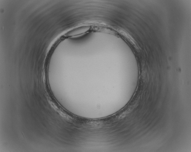 X0000078280888200612011741