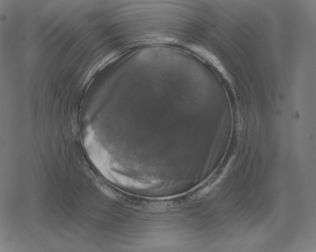 X0000078280889200612011741