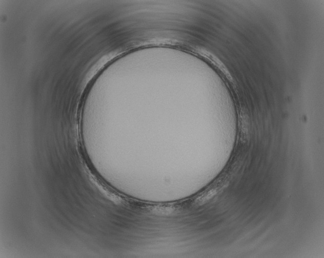 X0000078280890200612011741