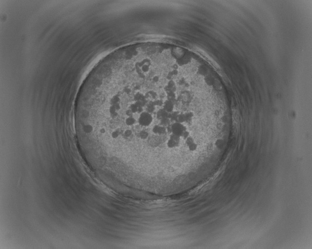 X0000078280891200612011741