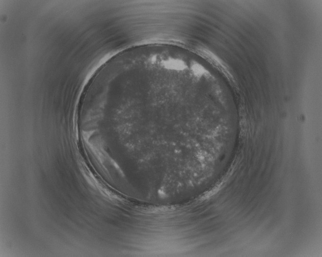 X0000078280892200612011741