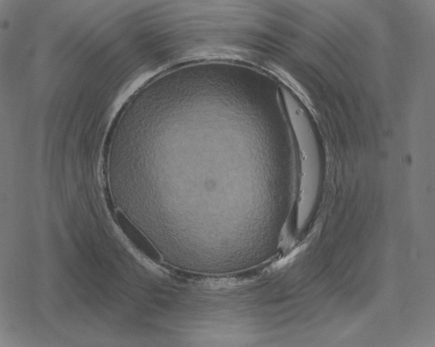 X0000078280893200612011741