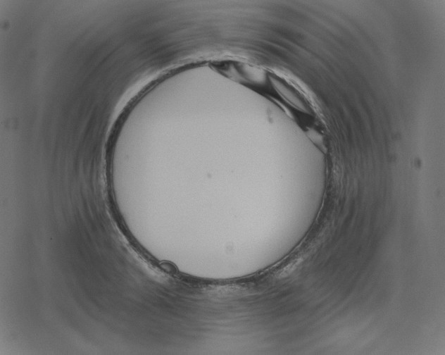 X0000078280894200612011741