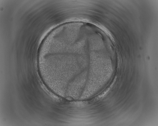 X0000078280896200612011741