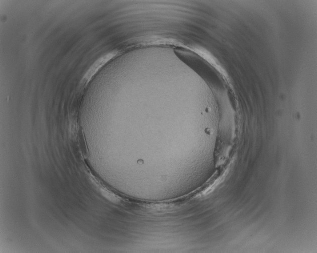 X0000078280897200612011741