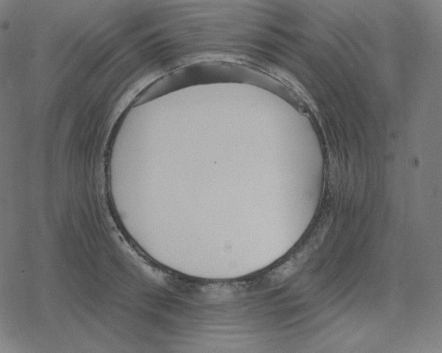 X0000078280898200612011741