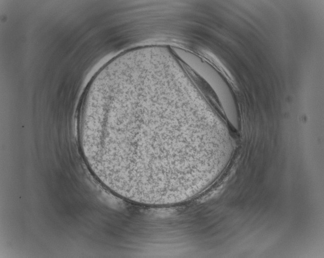 X0000078280900200612011741