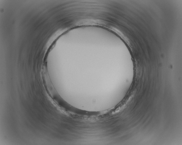 X0000078280901200612011741