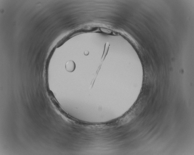 X0000078280902200612011741