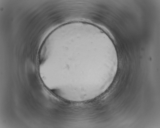 X0000078280903200612011741