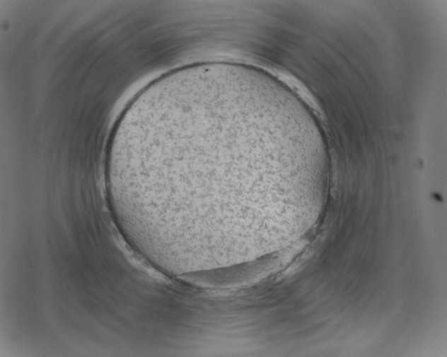 X0000078280904200612011741