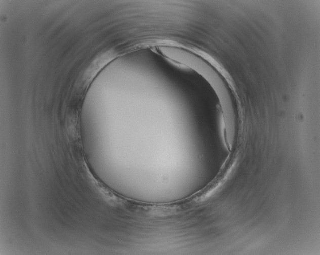 X0000078280905200612011741