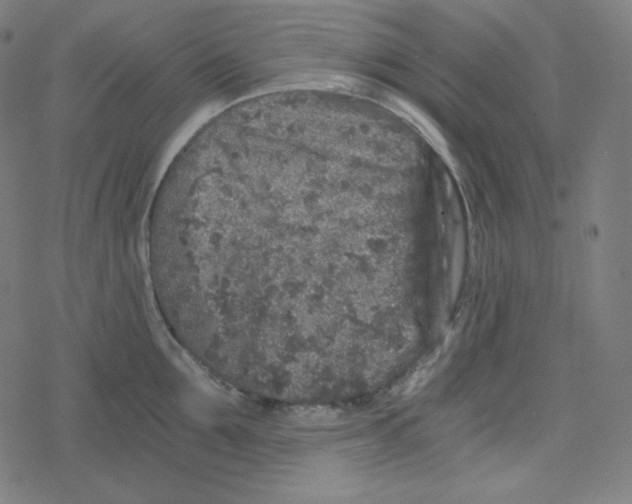 X0000078280907200612011741