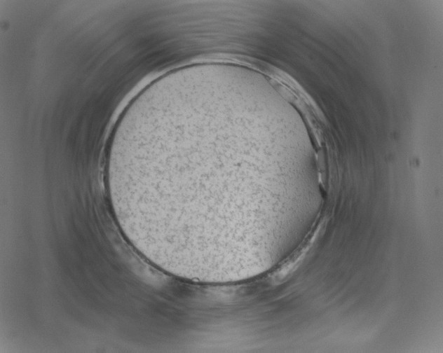 X0000078280908200612011741