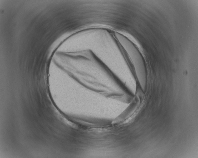 X0000078280910200612011741