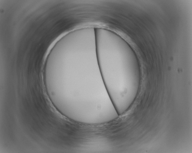 X0000078280912200612011741