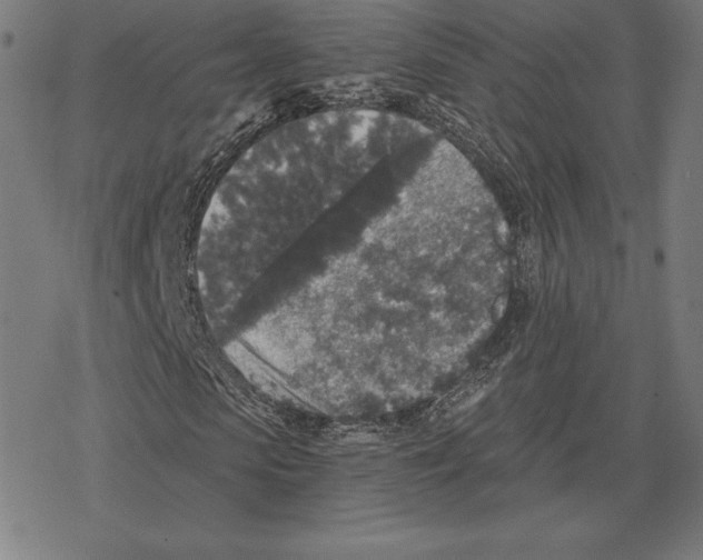 X0000078280913200612011740