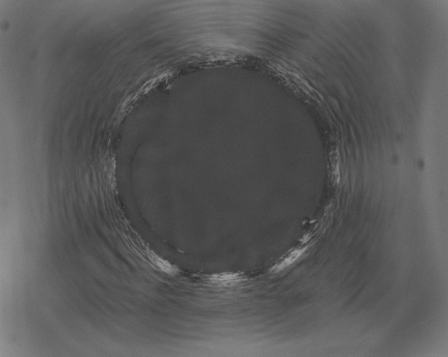 X0000078280916200612011740