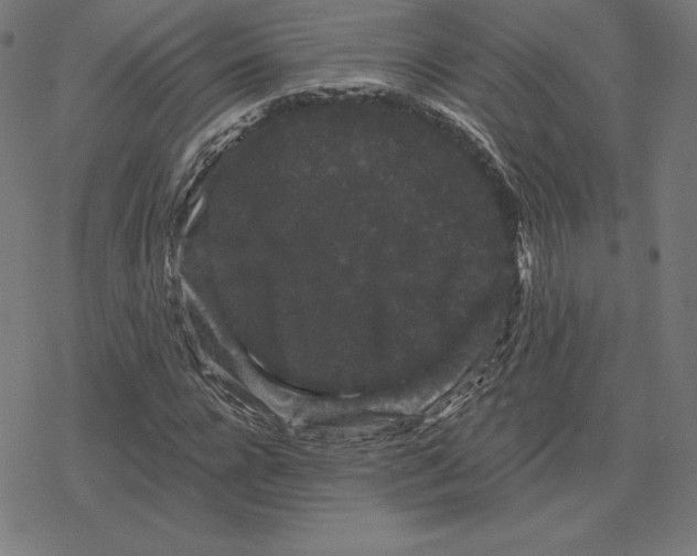 X0000078280920200612011740