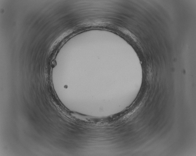 X0000078280922200612011740