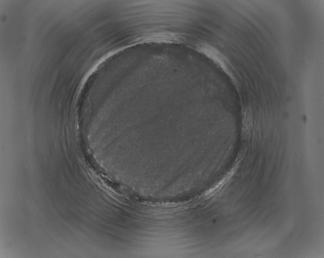 X0000078280923200612011740