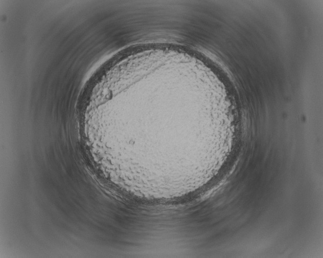 X0000078280925200612011740