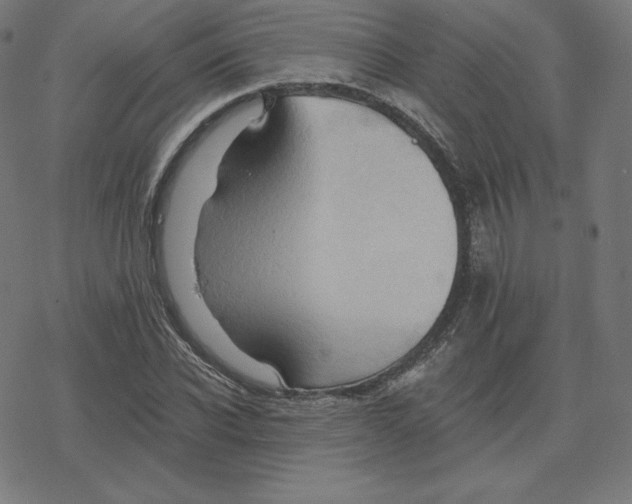 X0000078280926200612011740