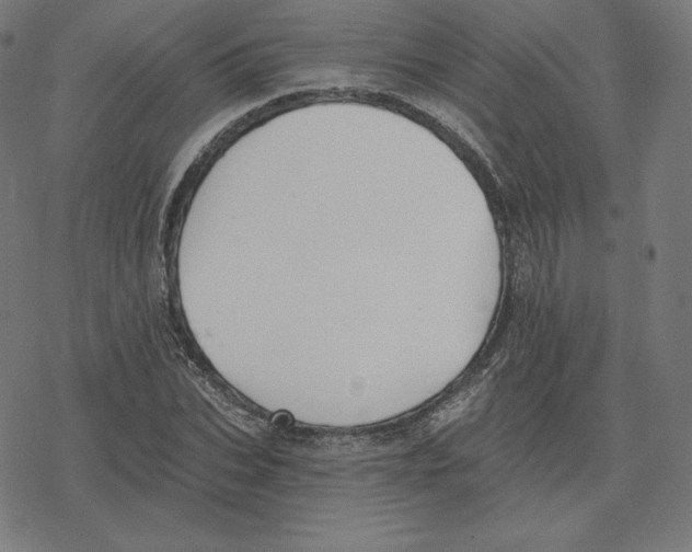 X0000078280927200612011740