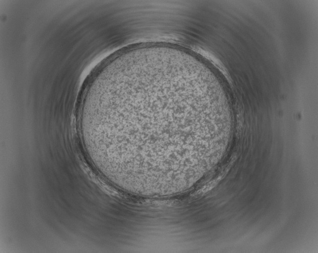 X0000078280928200612011740