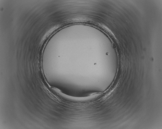 X0000078280930200612011740