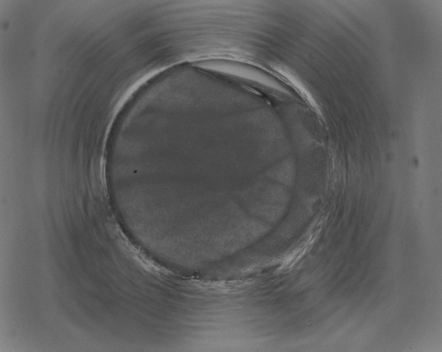 X0000078280932200612011740