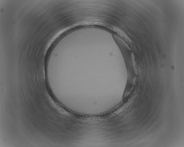 X0000078280934200612011740