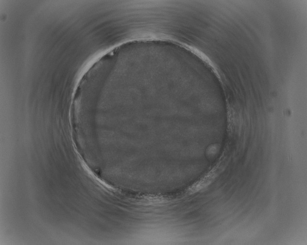 X0000078280935200612011741