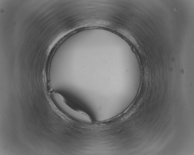 X0000078280936200612011741