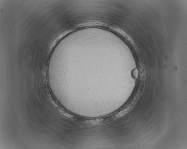 X0000078280937200612011741