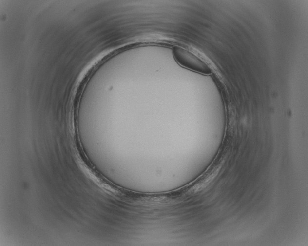 X0000078280939200612011741