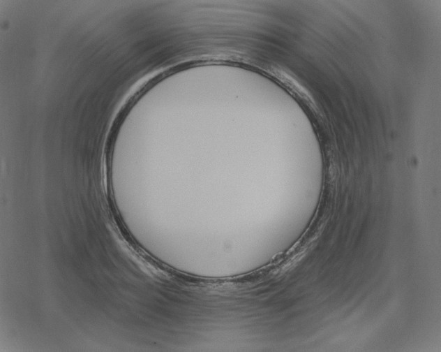 X0000078280940200612011741