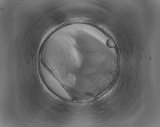 X0000078280941200612011741