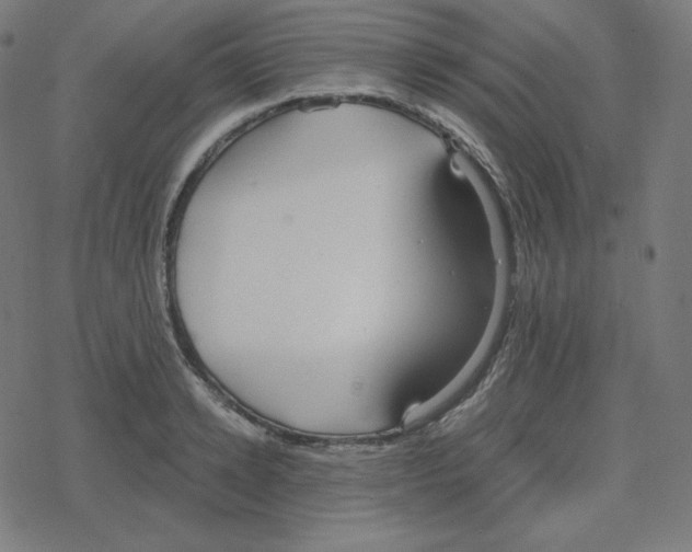 X0000078280942200612011741