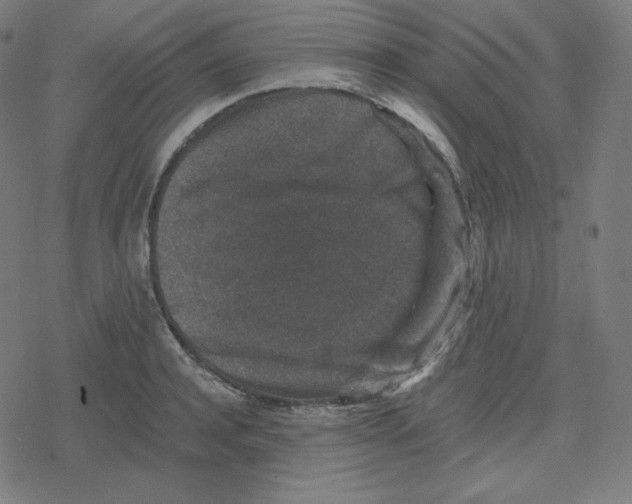 X0000078280944200612011741