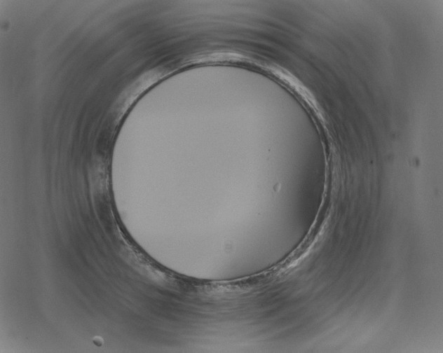 X0000078280945200612011741