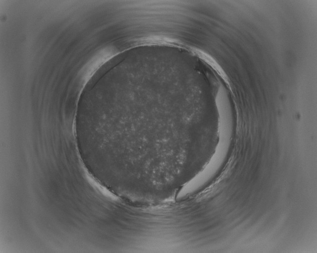 X0000078280946200612011741