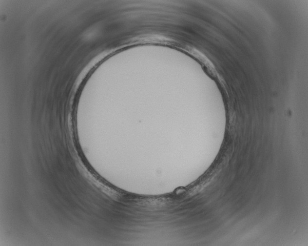 X0000078280947200612011741