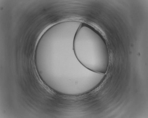 X0000078280948200612011741