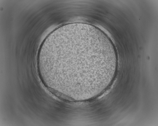 X0000078280949200612011741