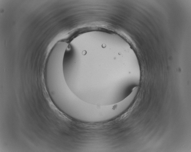 X0000078280952200612011741