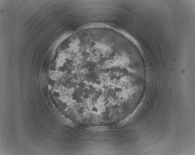 X0000078280953200612011741